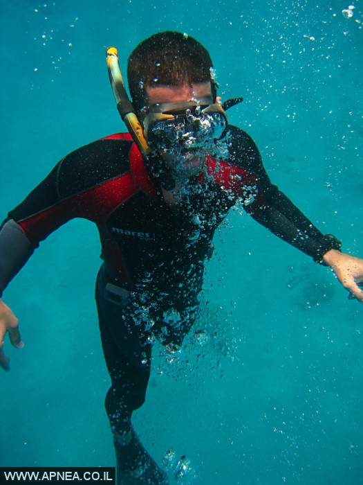    - APNEA -  , , , ,   - 011