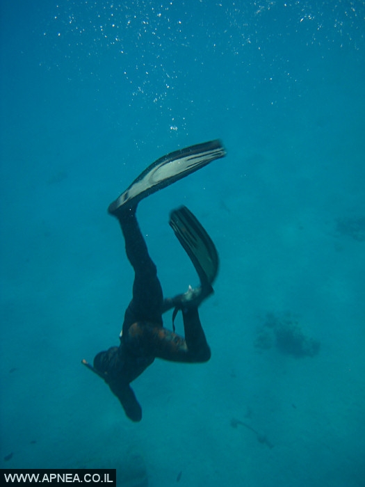    - APNEA -  , , , ,   - 019