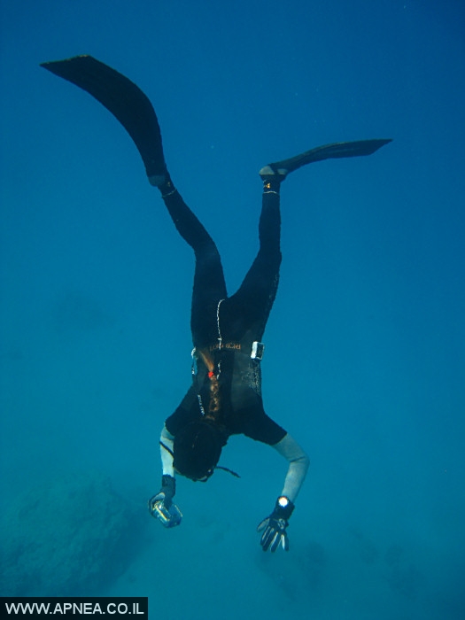    - APNEA -  , , , ,   - 021