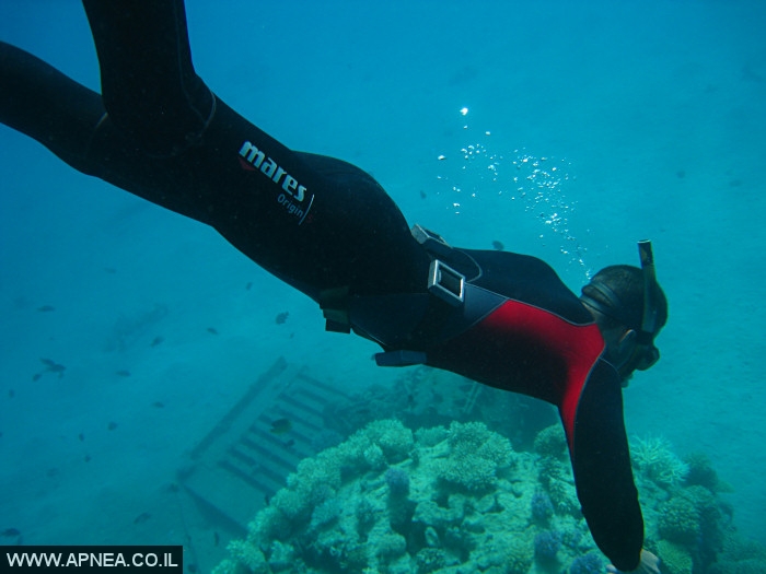    - APNEA -  , , , ,   - 022
