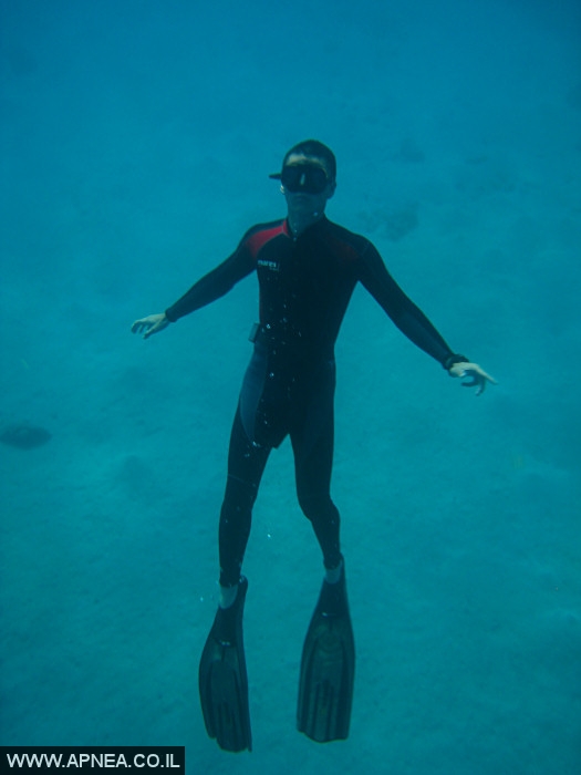    - APNEA -  , , , ,   - 024