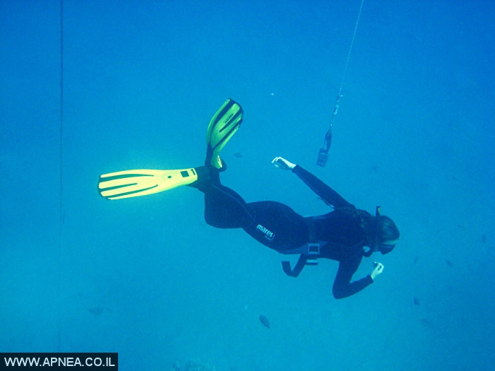    - APNEA -  ,   - 008