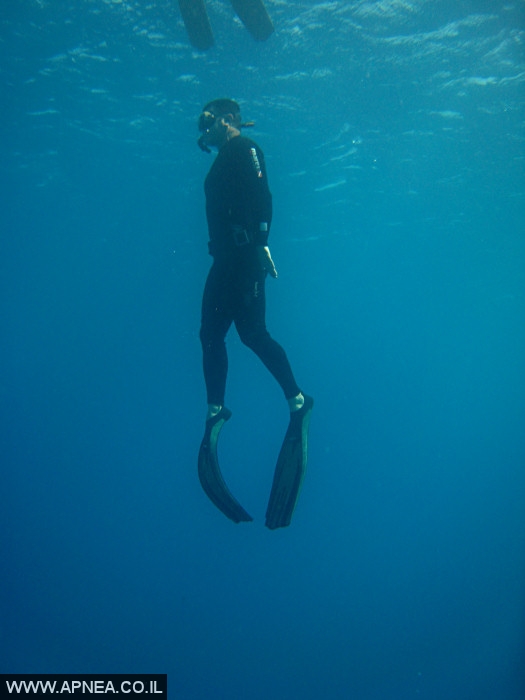    - APNEA -    - 009