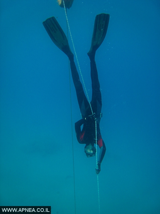    - APNEA -  ,   - 006
