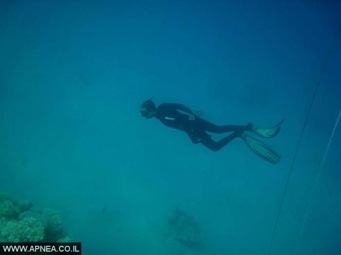    - APNEA -  ,   - 007