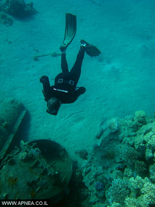    - APNEA -  , , , ,   - 019