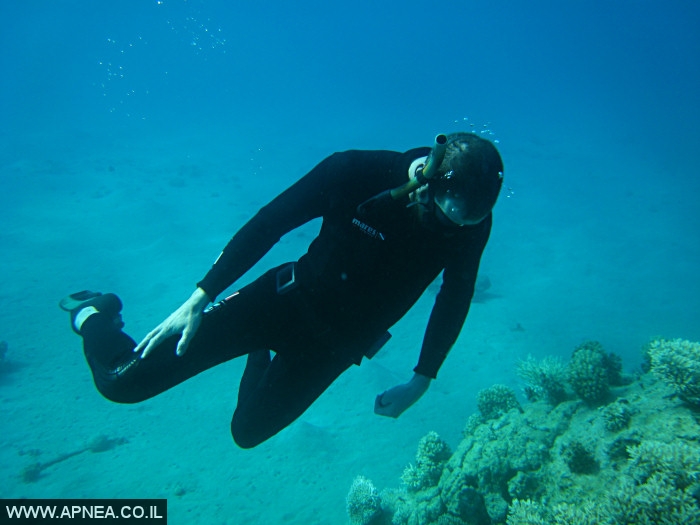    - APNEA -  , , , ,   - 021