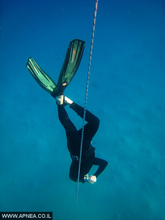   - APNEA -  , , , ,   - 022