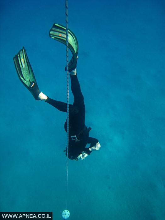    - APNEA -  , , , ,   - 023