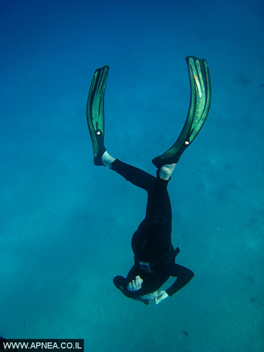    - APNEA -  , , , ,   - 024