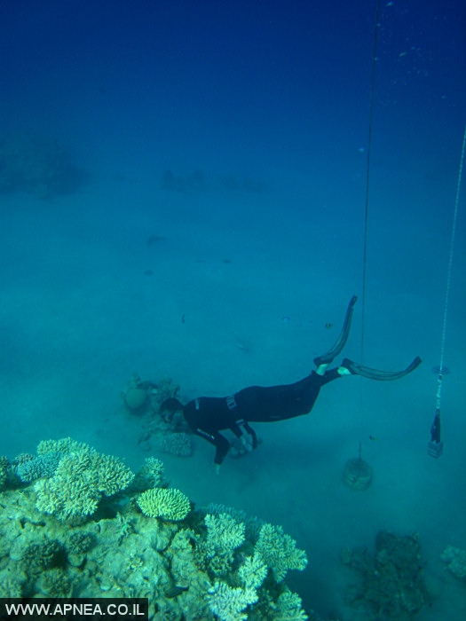    - APNEA -  , , , ,   - 001