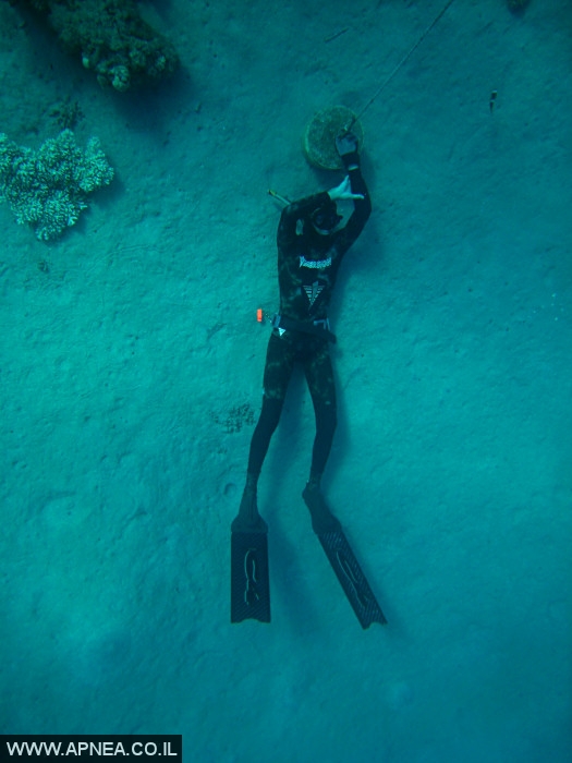    - APNEA -  , , , ,   - 003