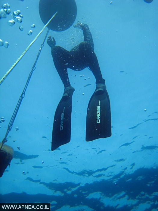    - APNEA -  , ,   - 005