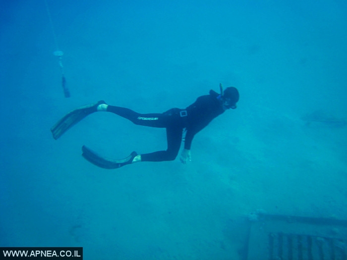   - APNEA -  , ,   - 006