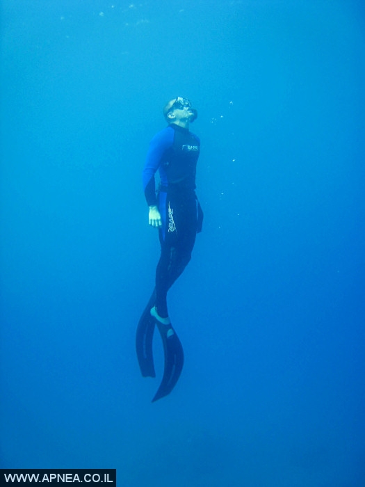    - APNEA -  , ,   - 010