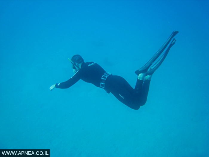    - APNEA -  , ,   - 020