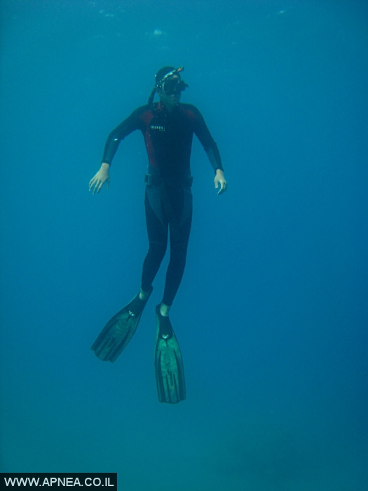    - APNEA -  ,   - 008