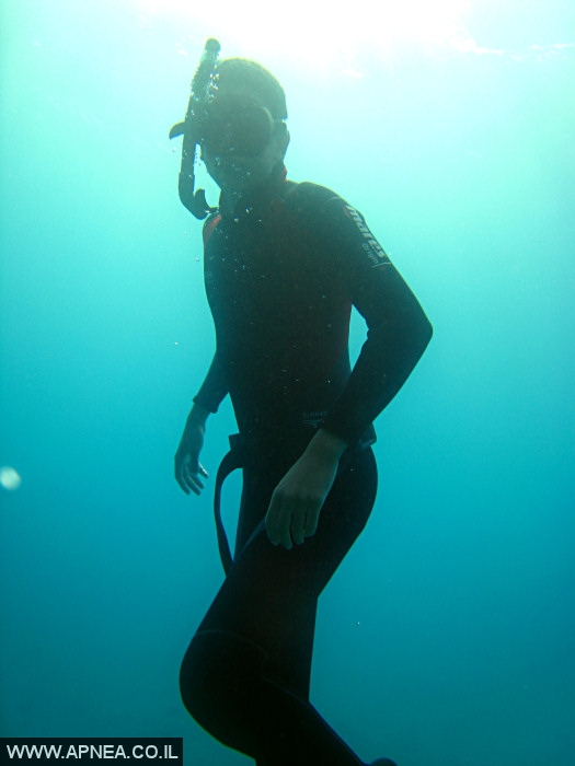    - APNEA -  ,   - 011