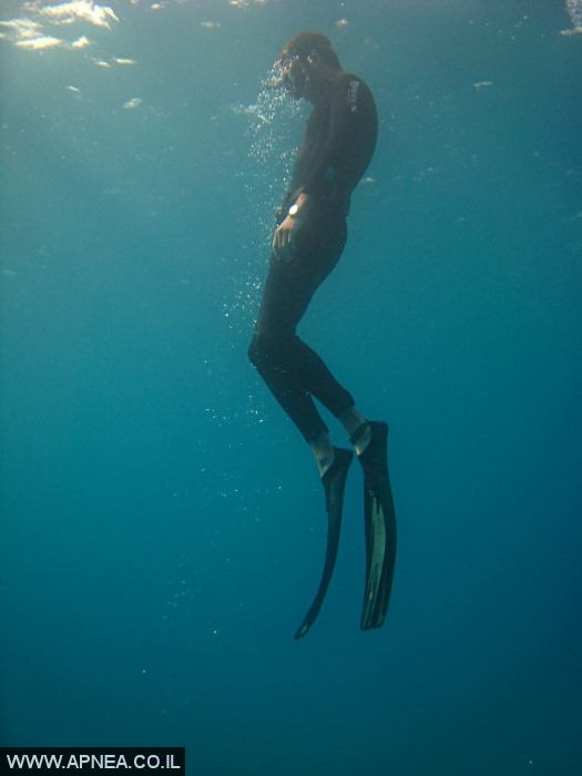    - APNEA -  ,   - 015