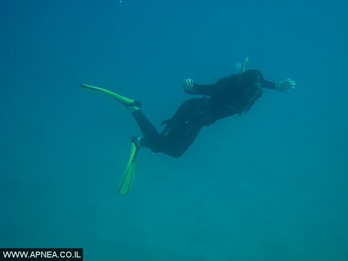    - APNEA -  ,   - 020