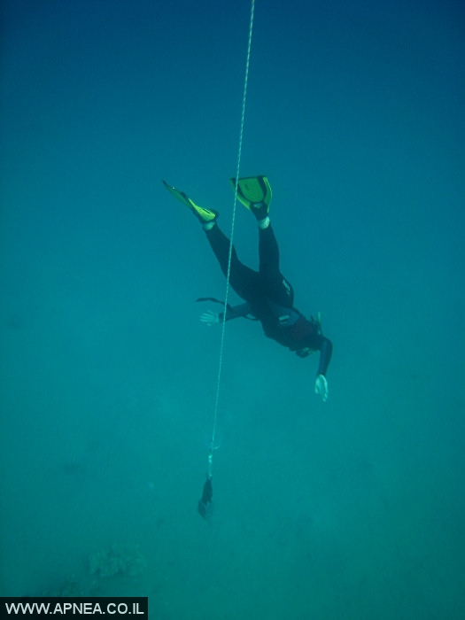    - APNEA -  ,   - 007
