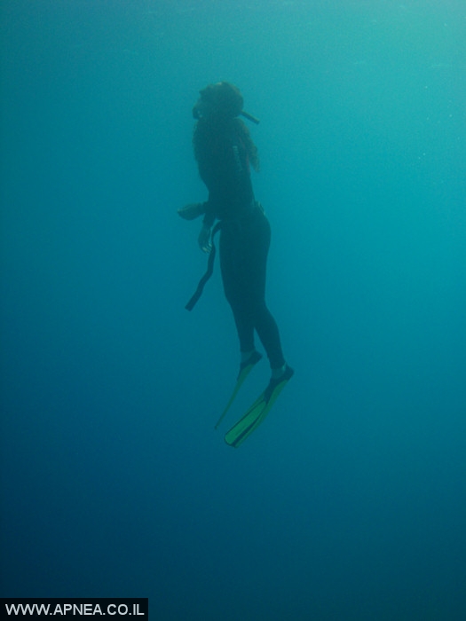    - APNEA -  ,   - 009