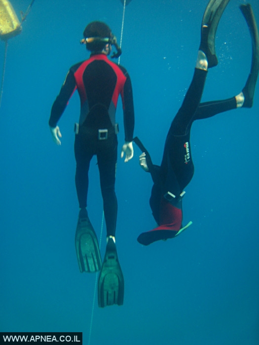    - APNEA -  , ,   - 008