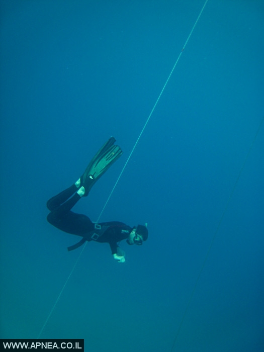    - APNEA -  , ,   - 009