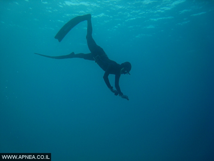    - APNEA -  , ,   - 022