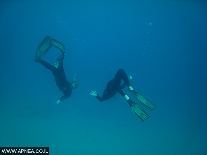    - APNEA -  , ,   - 023