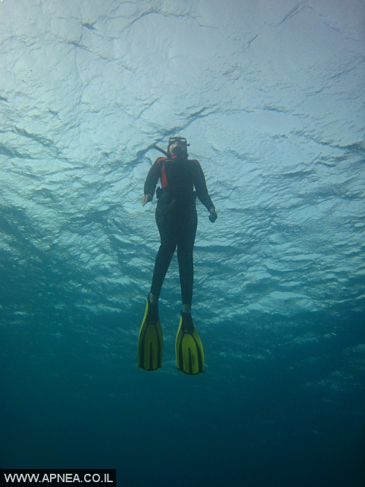    - APNEA -  , ,   - 005