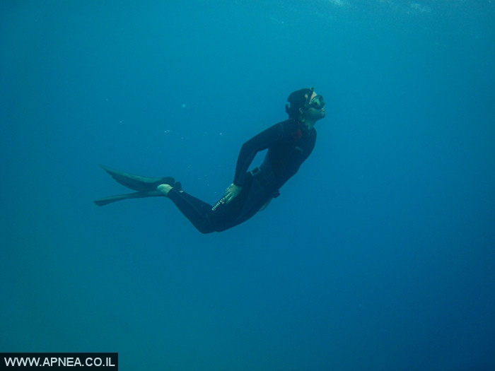    - APNEA -  , ,   - 006