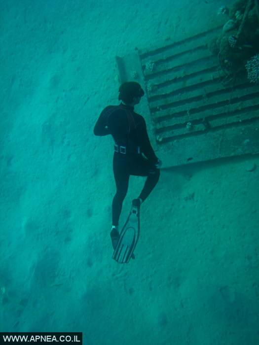    - APNEA -  , ,   - 009