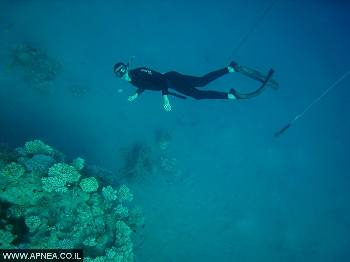    - APNEA -  , , ,   - 008