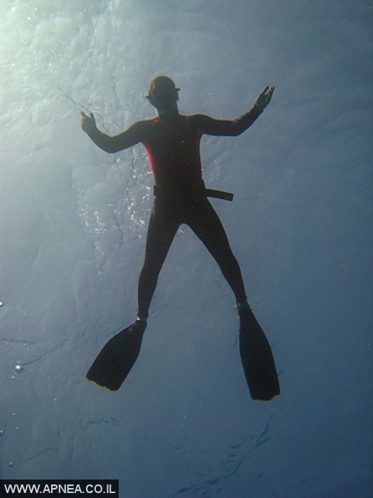    - APNEA -    - 003