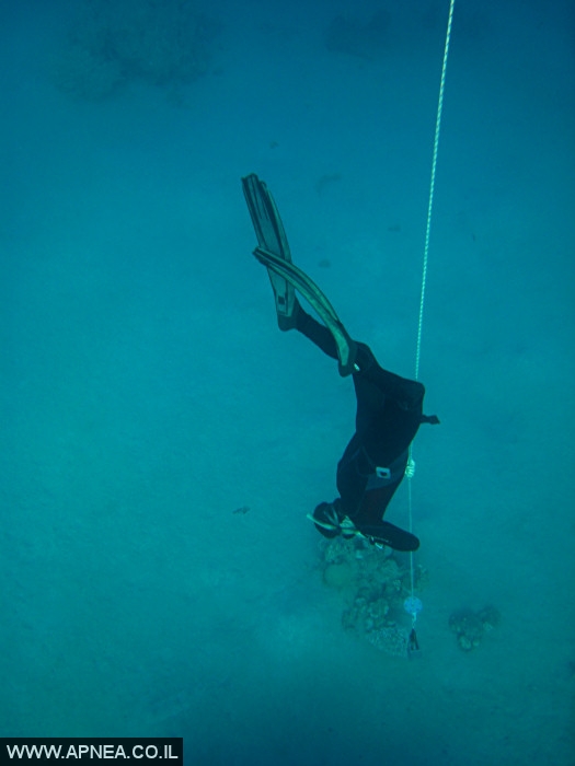    - APNEA -  ,   - 007