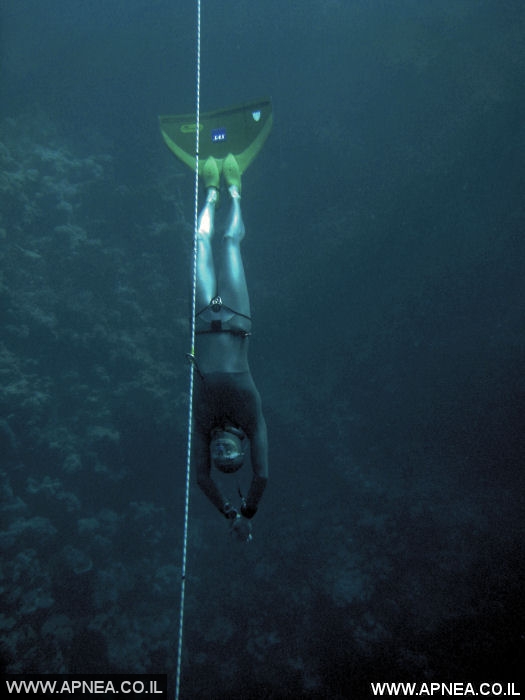    2007 Triple Depth - 5