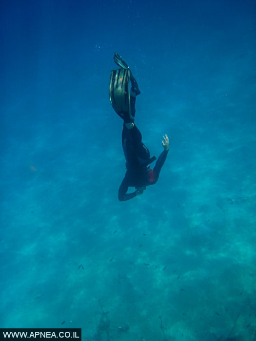    - APNEA -    - 006