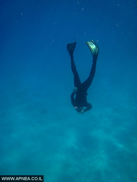    - APNEA -    - 011