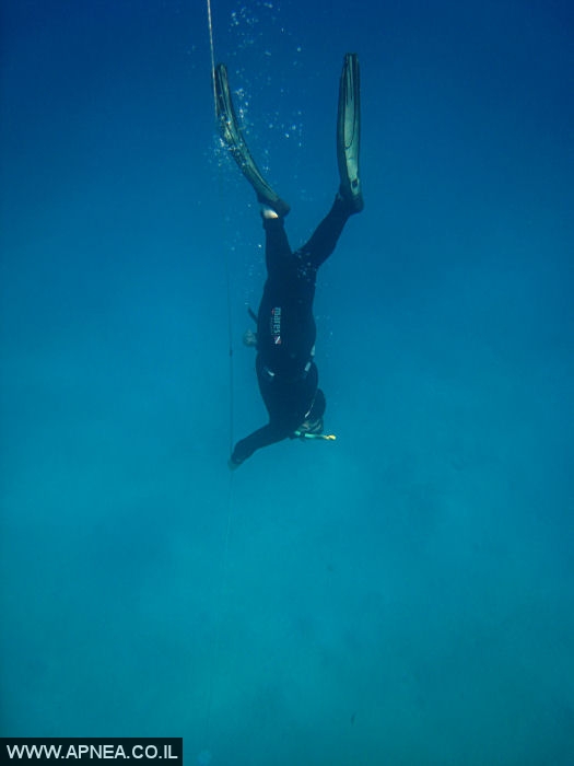    - APNEA -   - 008