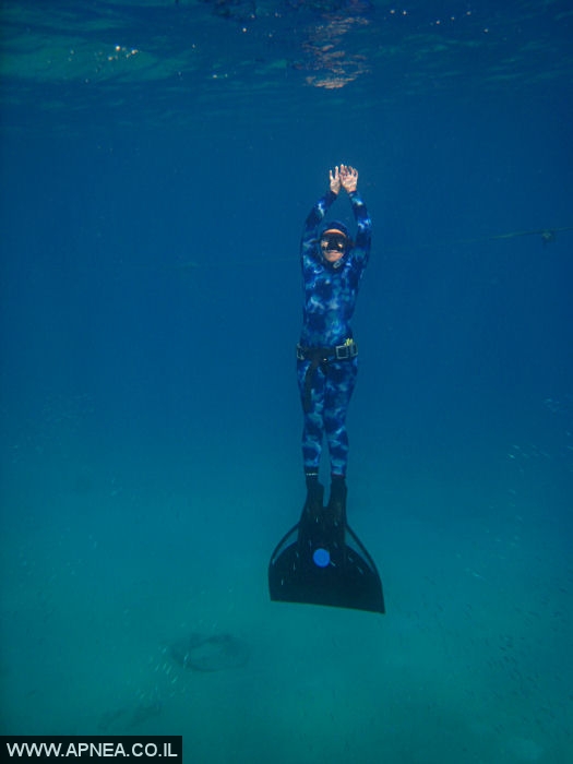    - APNEA -  ,   - 004