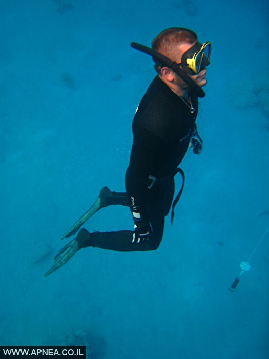   - APNEA -  , , ,  - 033