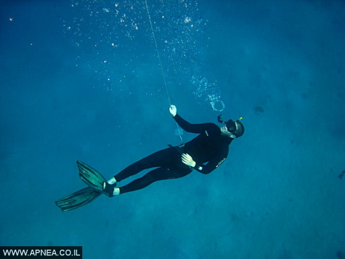    - APNEA -  , , ,  - 004