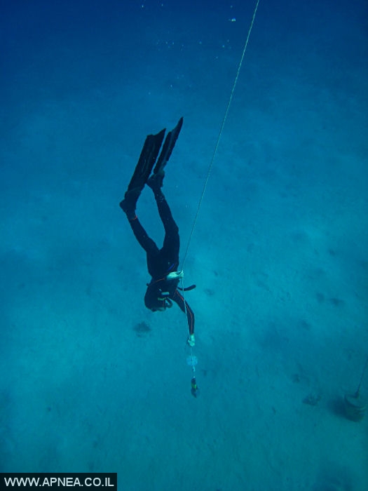    - APNEA -  , , ,  - 006