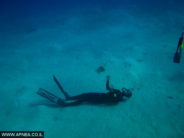    - APNEA -  , , ,  - 007