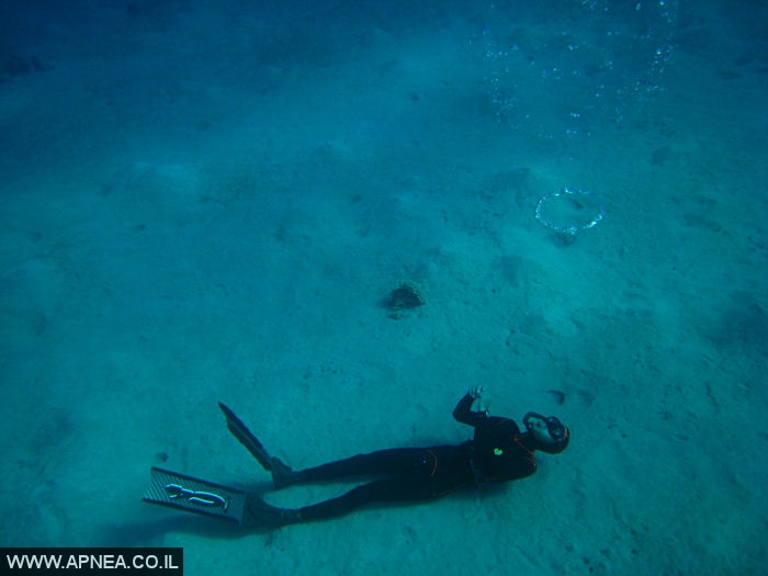    - APNEA -  , , ,  - 008