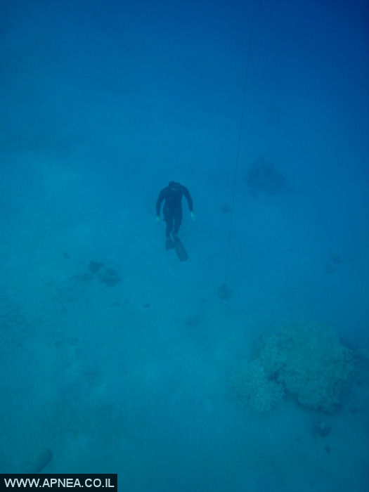   - APNEA -  , , ,  - 019
