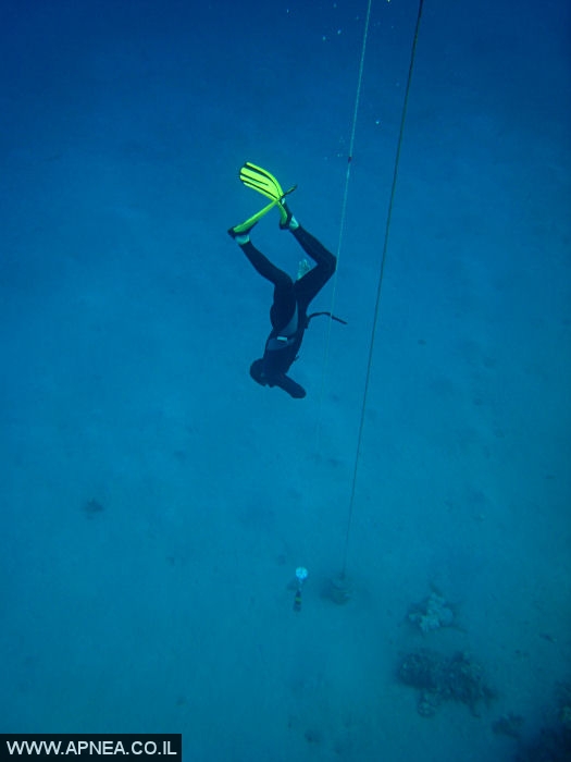    - APNEA -  , , ,  - 020