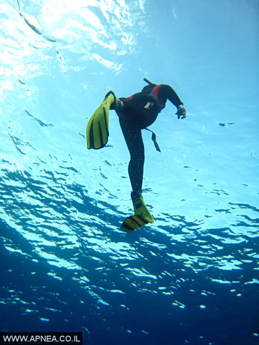    - APNEA -  , , ,  - 027