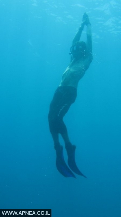 Free Diving in Utila-Honduras - 006